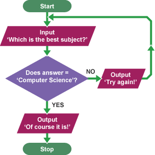 A simple flowchart can continue until a condition is met. When asking ‘which is the best subject?’, if the answer is not computer science the process will continue until this is the answer given.