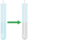 A test tube with limewater in it turning cloudy white when carbon dioxide is bubbled through it