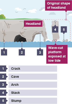 A crack expands into a cave. A cave expands into an arch. The arch collapses leaving headland and a stack. Wave-cut platform is exposed at low tide. The stack collapses into a stump.