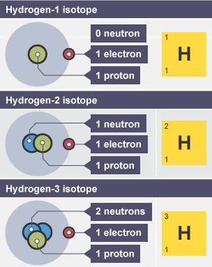 Hydrogen-1: Nucleus: 0 neutron, 1 proton. 1 electron orbiting. Hydrogen-2: Nucleus: 1 neutron, 1 proton. 1 electron orbiting. Hydrogen-3: Nucleus: 1 proton, 2 neutrons. 1 electron orbiting.