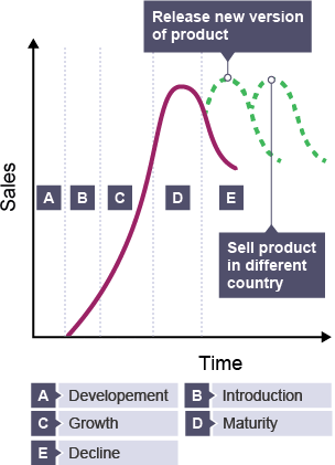 Product life cycle - development, introduction, growth, maturity and decline. Also includes release new version of product and sell product in different country