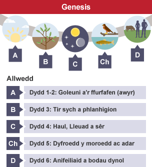 A visual representation of the days of Creation, from Genesis 1.