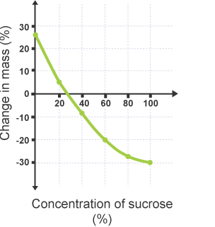 A graph showing the change of mass and the concentration of sucrose.