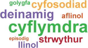 Casgliad o dermau: cyflymdra / deinamig / cyfosodiad / strwythur / llinol / aflinol / golygfa / episodig