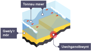 Mae tonnau mawr yn symud ar hyd gwely’r môr, oddi wrth yr uwchganolbwynt.