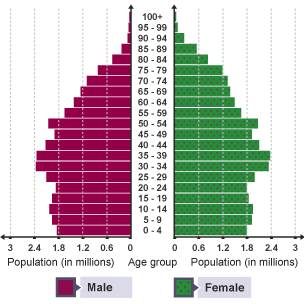 Population Pyramid for an MEDC.