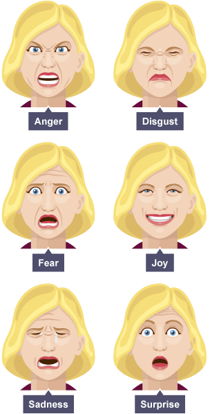 A: Anger. B: Disgust. C: Fear. D: Joy. E: Sadness. F: Surprise