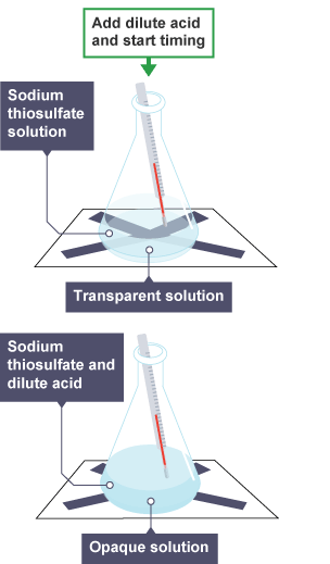 The result of adding dilute acid to a transparent sodium thiosulfate solution is a more opaque solution.