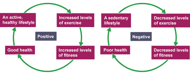 A positive and negative circle charting the negative and positive effects of excersize