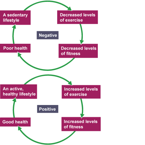 Eating a balanced diet - Diet and nutrition - AQA - GCSE Physical Education  Revision - AQA - BBC Bitesize