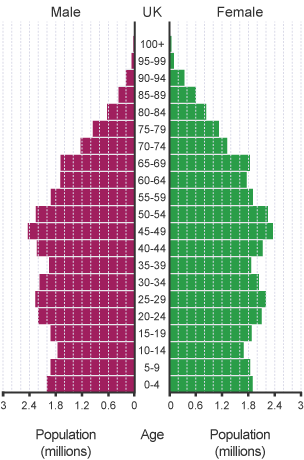 A population pyramid showing the percentages of the people living in the UK