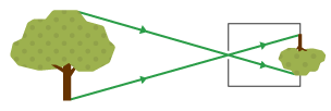 A ray diagram to show focusing in a pinhole camera