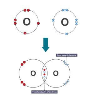  The dot and cross diagram for oxygen (O2). It shows lone pairs of electrons and two shared pairs of electrons