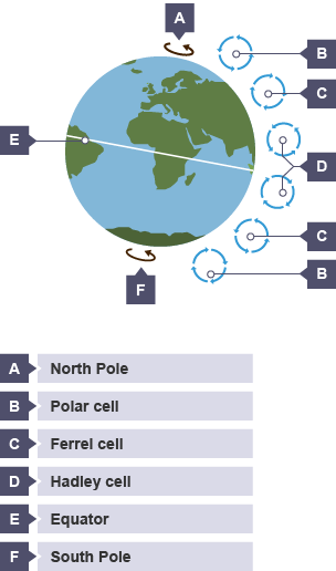 Global atmospheric circulation - Atmosphere and climate - Edexcel 
