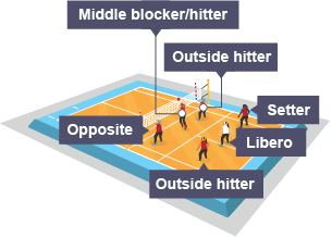 Players on a volleyball court are middle blocker/hitter, opposite, two outside hitters, libero and setter.