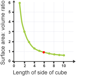 So, as the volume increases, the surface area does not increase at the same rate. If a graph is drawn: