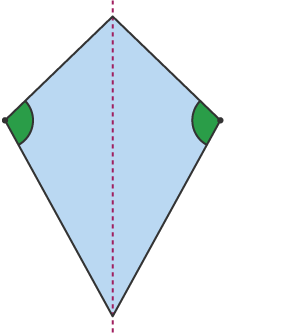 Kite with line of symmetry and opposite angles highlighted