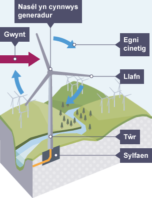 Diagram yn dangos tyrbin gwynt yn y dirwedd. Mae wedi’u labelu â Sylfaen, Tŵr, Llafn, Nasél yn cynnwys generadur, Gwynt ac Egni cinetig.