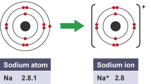 How a sodium atom becomes a sodium ion when it loses an electron