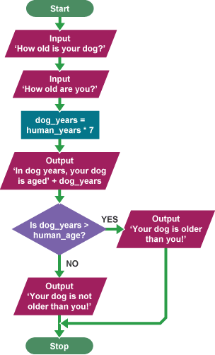 A flowchart comparing your age with your dog’s age will first ask for your dog’s age and then your age. Based on the calculation that 1 dog year equals 7 human years it will calculate who is older.