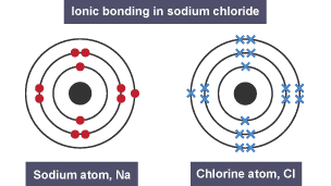 Structures of a sodium atom and a chlorine atom.