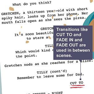 Illustration showing a sample scripts with transitions