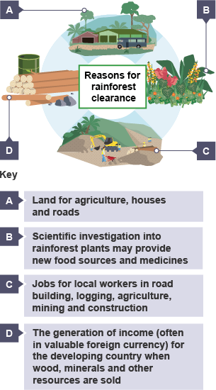 Reasons for rainforest clearance.