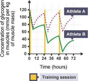 A graph showing the concentration of glycogen in muscles in mmol per kilogram of muscle mass.