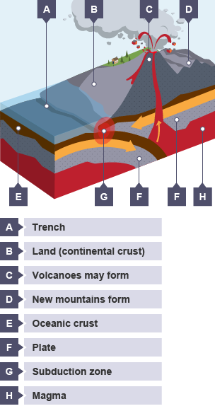 One plate subducts (goes under) the other. A trench forms at the subduction zone betwen the oceanic crust and land (continental crust). Volcanoes and new mountains may form nearby.