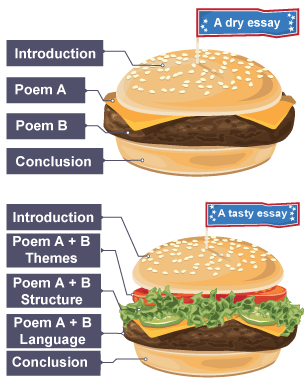 Infographic illustrating how to properly structure a comparative essay - a tasty burger/essay with multiple points vs a dry burger/essay with one