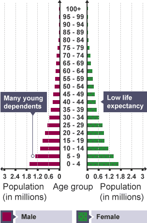 Graph showing the population pyramids of an LEDC (Mozambique).