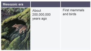 Mesozoic era. About 200,000,000 years ago: first flowering plants.