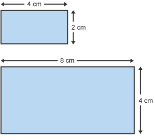 Dau betryal. Un 4 cm wrth 2 cm, y llall 8 cm wrth 4 cm