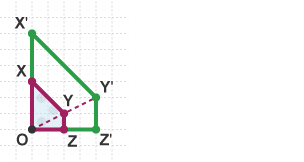 Shape (OXYZ) enlarged