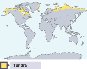 BBC Bitesize - National 4 Geography - Impact of human activity on the ...