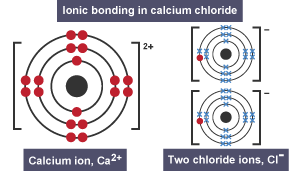 Structures of a calcium ion and two chloride ions