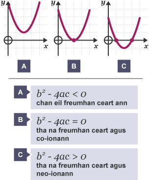 Discriminant rule diagram