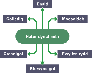 A flow-chart showing the Christian beliefs about the nature of humanity, with the words 'Fallen', 'Soul', 'Morality', 'Free will', 'Rationality' and 'Creative' labelled.