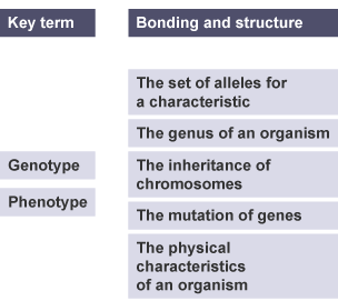 Draw a line from the key term to the correct bonding and structure