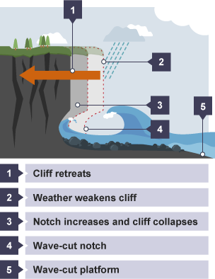 Sea attacks wave-cut notch. Notch increases and cliff collapses. Wave-cut platform forms. Weather weakens cliff and cliff retreats.