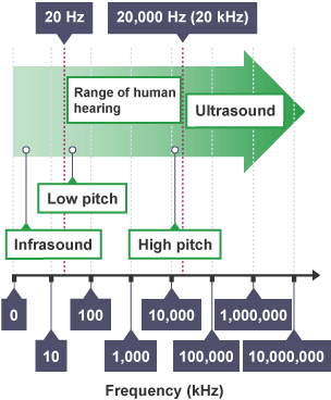 Diagram showing the range of sound frequencies. The range of human hearing is between 20 hertz and 20,000 hertz.Lower than 20 hertz is Infrasound, higher than 20,000 hertz is Ultrasound.