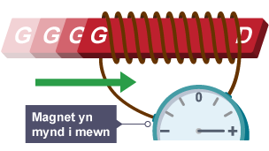 Diagram yn dangos bar magnet yn symud i mewn i goil gwifren wedi’i gysylltu ag amedr. Mae cerrynt yn dechrau llifo.