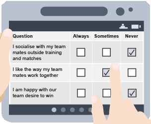 "Social questionnaire - I socialise with my team mates outside training/matches, I like the way my team mates work together, I am happy with our team desire to win. Always, Sometimes, Never. "