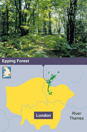 Opportunities in london bbc bitesize picture