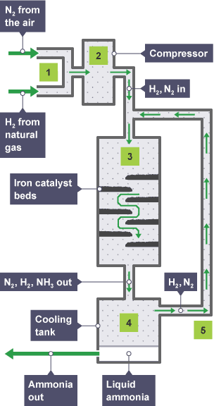 Hydrogen from natural gas and nitrogen from air are combined at a pressure of 200 atmospheres and a temperature of 450 degrees Celsius using an iron catalyst, to produce ammonia