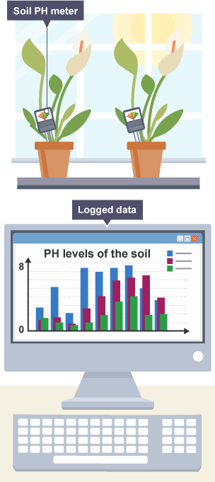 Soil analysis experiment using plants and a PC, data is displayed on the screen