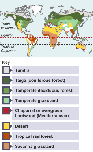 The main biomes: tundra, taiga (coniferous forest), temperate deciduous forest, temperate grassland, chaparral or evergreen hardwood (Mediterranean), desert, tropical rainforest, savanna grassland.