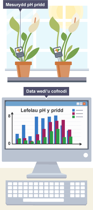 Arbrawf dadansoddi pridd yn defnyddio planhigion a chyfrifiadur personol. Mae data’n cael eu harddangos ar y sgrin.