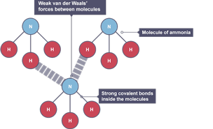 The molecular covalent structure of ammonia showing weak van der Waals' forces between molecules.