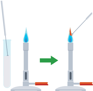 A sample is held in a Bunsen burner flame and burns red.